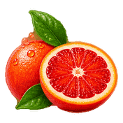 Illustration einer aufgeschnittenen Blutorange